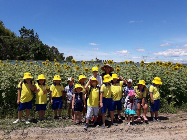주로 해바라기꽃을 재배하는 떰안농장은 꽃판매와 함께 체험프로그램으로 큰 수익을 올리고 있다. 학생들을 비롯한 현지 주민들 뿐 아니라 다낭에 여행온 외국인들도 많이 찾는 곳이다.