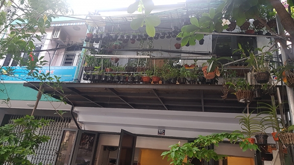 2층이상 주택의 베란다는 거의 모두 화분으로 가득 차있다. 베트남은 꽃을 수출하는 나라지만 설명절(Tet)에는 국내 생산량만으로 부족해 외국에서 수입할만큼 베트남사람들은 꽃을 좋아한다.
