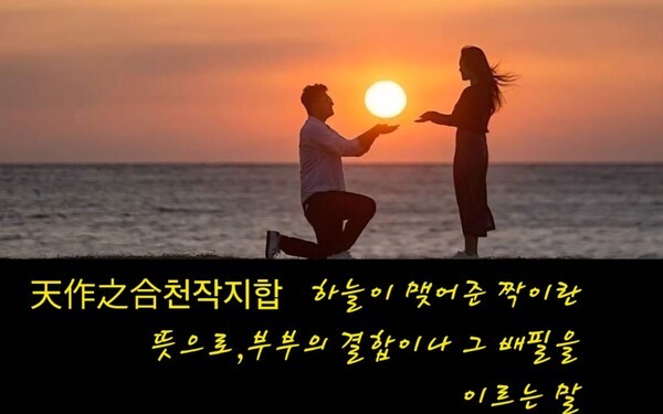 천작지합(天作之合)은 비비추의 꽃말처럼 하늘이 내린 인연, 즉 하늘이 맺어준 짝이란 뜻이다. 운명 같은 그런 인연을 너무 쉽게 끊는 요즘 세태가 안타깝다. (사진=인터넷 캡처/이형로)