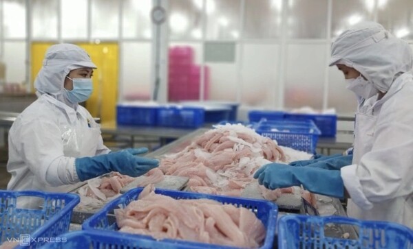 베트남의 한 수산가공업체 내 조업 현장. 중국은 상반기 베트남산 수산물 11억달러를 수입하며 미국을 제치고 사상 처음으로 베트남 수산물 최대 소비국에 이름을 올렸다. (사진=VnExpress/Thi Ha)