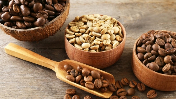 올해 들어 베트남의 커피 수출이 큰 폭의 증가세를 보이고 있다. (사진=kinhtechungkhoan)