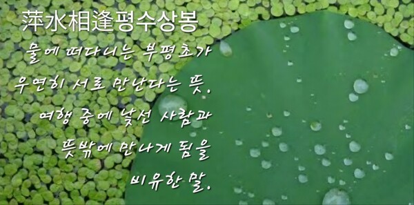 萍水相逢(평수상봉)은 ‘물에 떠다니는 부평초가 우연히 서로 만나는 것과 같다'는 뜻으로 여행중에 우연히 만나는 사람을 비유한 말이다. 우리네 인생 여정중에 이처럼 뜻밖의 만남이 소중한 인연으로 남아 삶을 아름답게 만들어주기도 한다. (사진=인터넷 캡처/ 이형로)