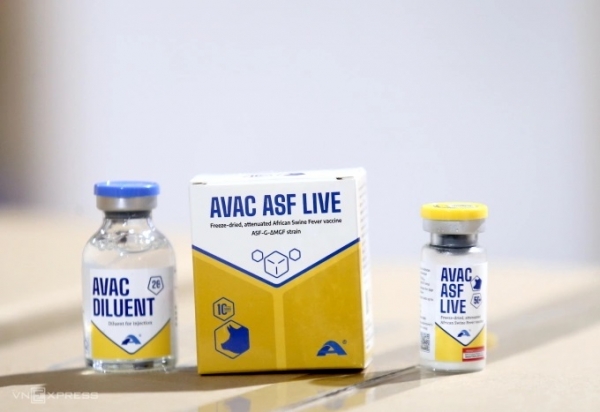 베트남 동물백신 제조사 AVAC베트남이 자체 개발한 아프리카돼지열병(ASF) 백신 'AVAC ASF LIVE'. 베트남이 아프리카돼지열병(ASF) 백신 34만도즈를 필리핀으로 추가 수출했다.(사진=VnExpress/Gia Chinh)