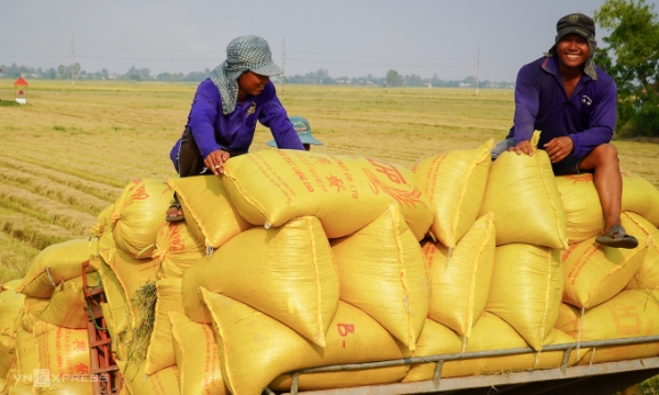 베트남 쌀 수출이 정체 국면을 맞고 있다. 이는 베트남 쌀 최대 소비국인 필리핀이 자국 농업 보호를 이유로 쌀 수입을 한시적으로 중단한 영향이다. (사진=VnExpress/Thuy Tien)