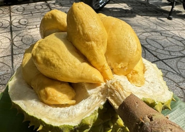 베트남 길거리에서 판매 중인 열대과일 두리안. 올해 초 부진했던 베트남의 청과류 수출이 큰 폭으로 반등하는 모양새다.(사진=VnExpress/Manh Khuong)