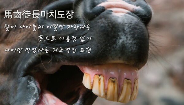 '마치도장(馬齒徒長)‘은 말이 나이들며 이빨만 자란다는 뜻으로, '이렇다하게 이룬 것 없이 쓸데없이 나이만 먹었다'라는 의미로 쓰이며, 두동치활(頭童齒豁)은 '머리는 갓난 아기처럼 벗겨지고 이는 빠져 훤하다'는 성어이다. 나이가 들면 머리가 벗겨지고 이가 빠져 볼품없는 모습이 되지만 한편으로 머리 가꾸는 번거로움과 치통이 없는 것은 좋은 점이니 만사 생각하기 나름이 아닐까 싶다. (사진=인터넷 캡처/ 이형로) 