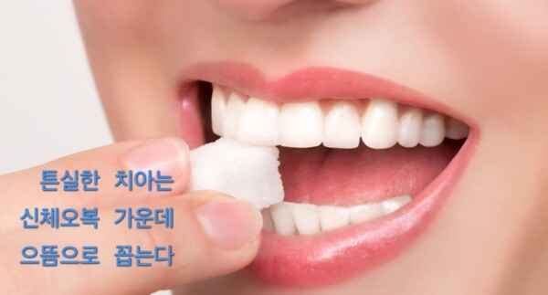 신체오복(身體五福)은 흔히 튼튼한 치아, 소화가 잘 되는 위장, 잘 보이는 눈, 잘 들리는 귀, 원활한 배변 등을 말하며 이중 튼튼한 치아가 오복의 으뜸으로 꼽힌다. (사진=인터넷 캡처/ 이형로) 