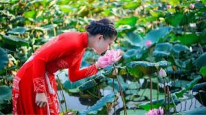 [석태문 박사의 VINA프리즘] (21) 베트남 사람들이 꽃을 좋아하는 이유는?(하)