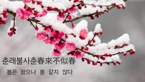 이형로의 고사성어로 보는 세상](132) 春來不似春(춘래불사춘) 설니홍조(雪泥鴻爪)
