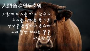 이형로의 고사성어로 보는 세상](133) 인두축명(人頭畜鳴) 이인위경(以人爲鏡)