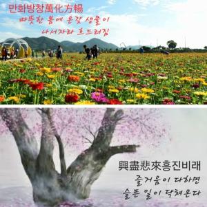 이형로의 고사성어로 보는 세상](135) 만화방창(萬化方暢) 흥진비래(興盡悲來) 일수백확(一樹百穫)