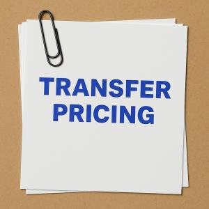 알면 쉽다! 베트남 회계/세무[37] – 베트남 이전가격세제