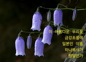 이형로의 고사성어로 보는 세상(138) 청사초롱(靑紗燭籠) 동방화촉(洞房華燭)