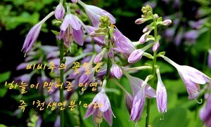 이형로의 고사성어로 보는 세상(140) 천생연분(天生緣分) 천작지합(天作之合)