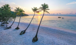 베트남 푸꾸옥, 국내외 관광객 급증세…10월 기준 710만명 전년比 34.2%↑